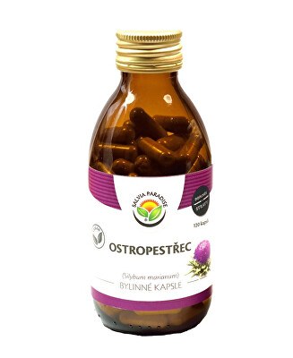 Salvia Paradise - Ostropestřec plod kapsle